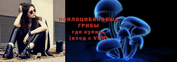 ГАЛЛЮЦИНОГЕННЫЕ ГРИБЫ Лиски