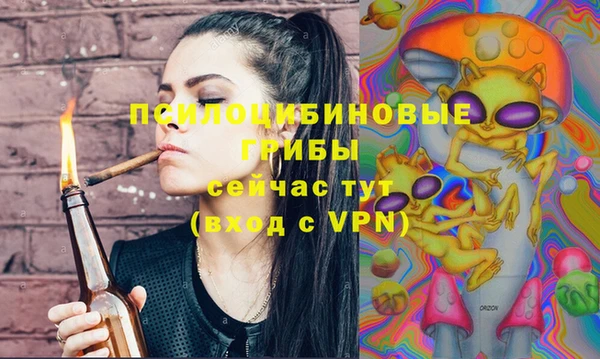 мескалин Лабытнанги