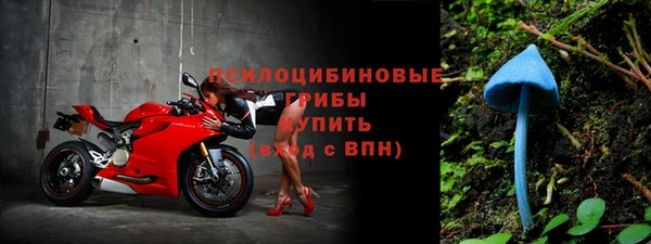 ГАЛЛЮЦИНОГЕННЫЕ ГРИБЫ Лиски
