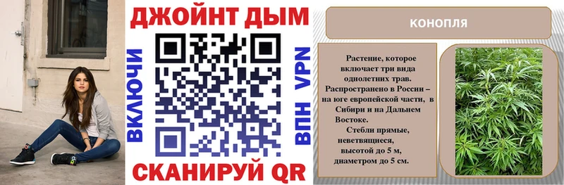 Канабис план  Купить где  Новокубанск 